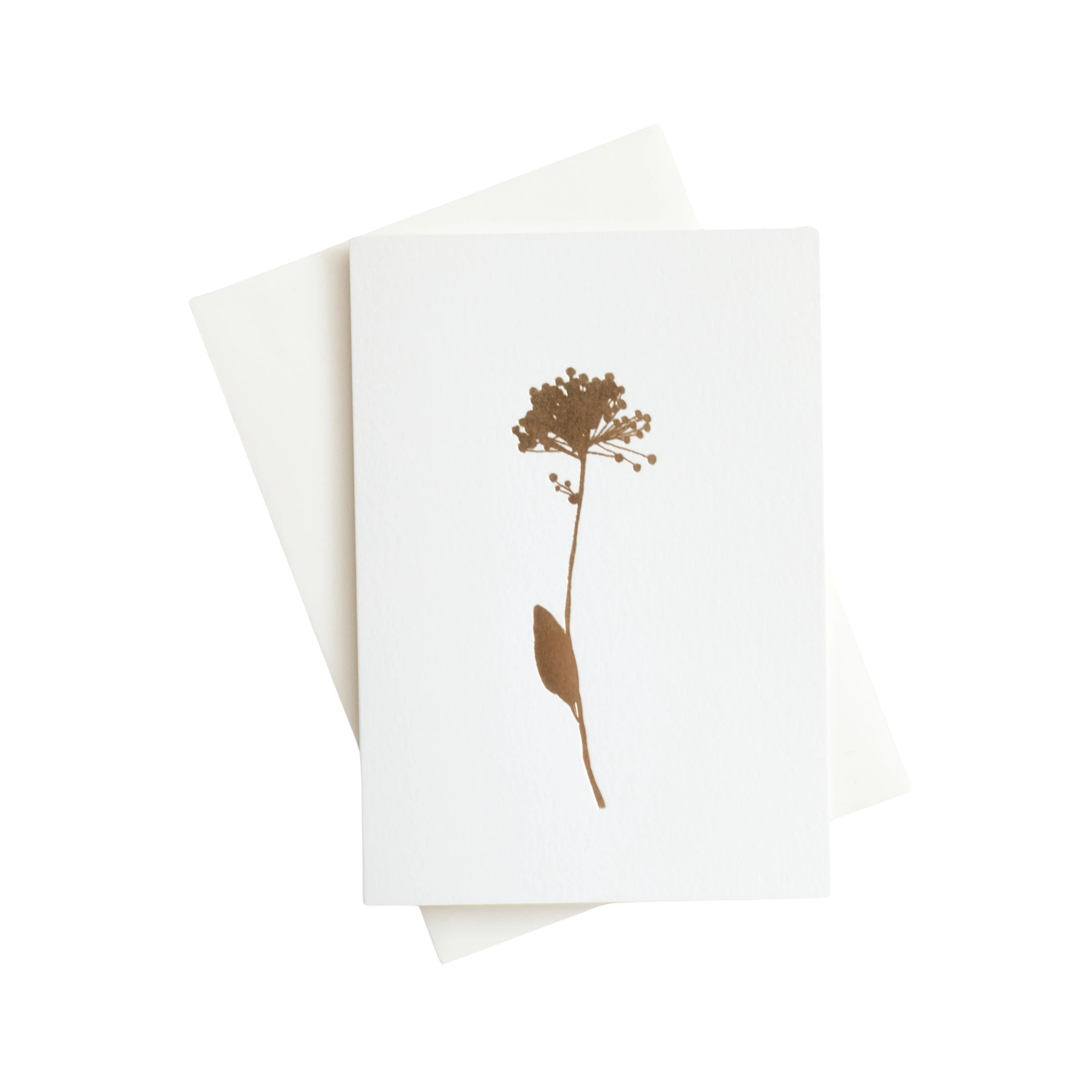 Allium Card | Brass on Ivory | Foil Blocked | by Ola - Lifestory