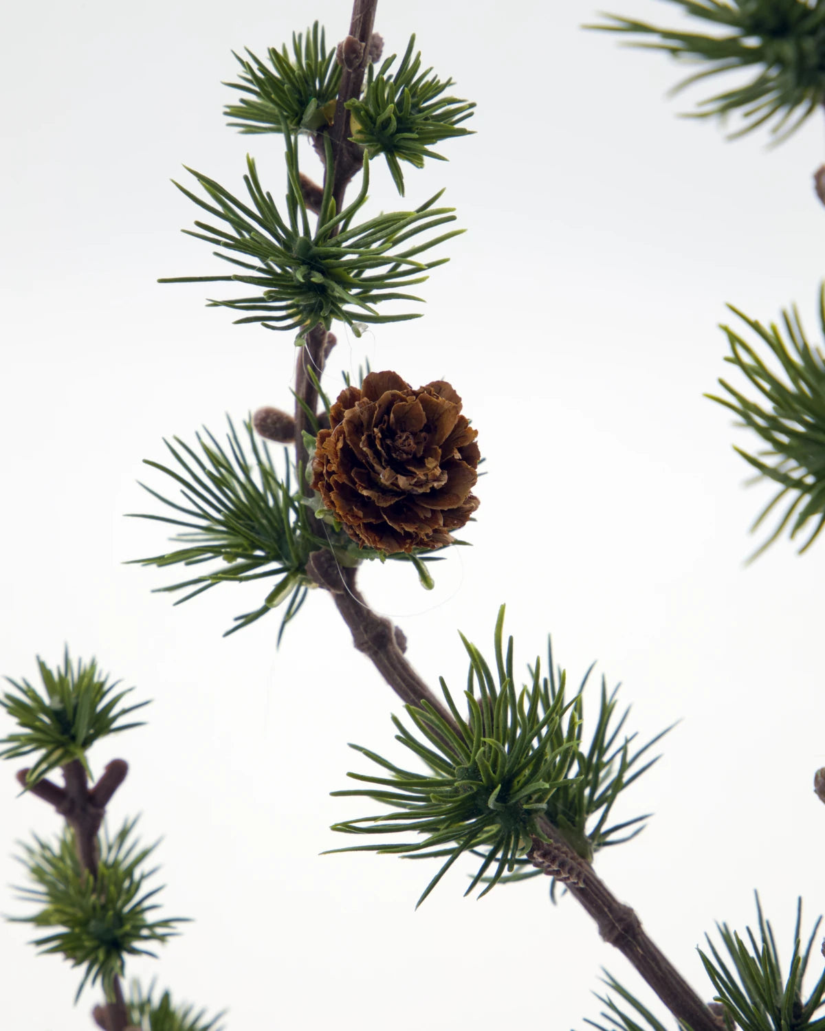 House Doctor 'Stay' Christmas Cedar Tree - close up of cones and branch