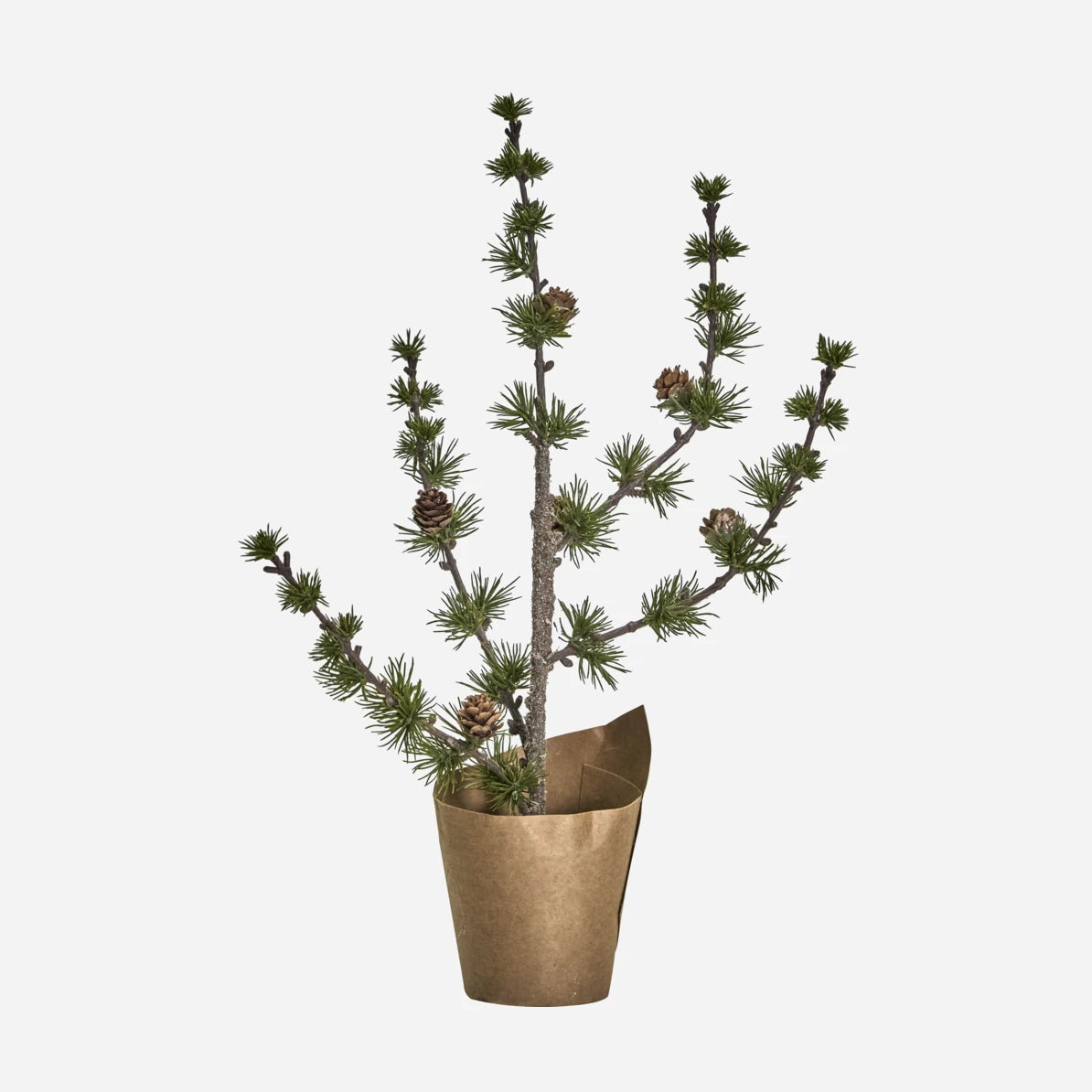 House Doctor 'Stay' Christmas Cedar Tree - 40cm on a white background