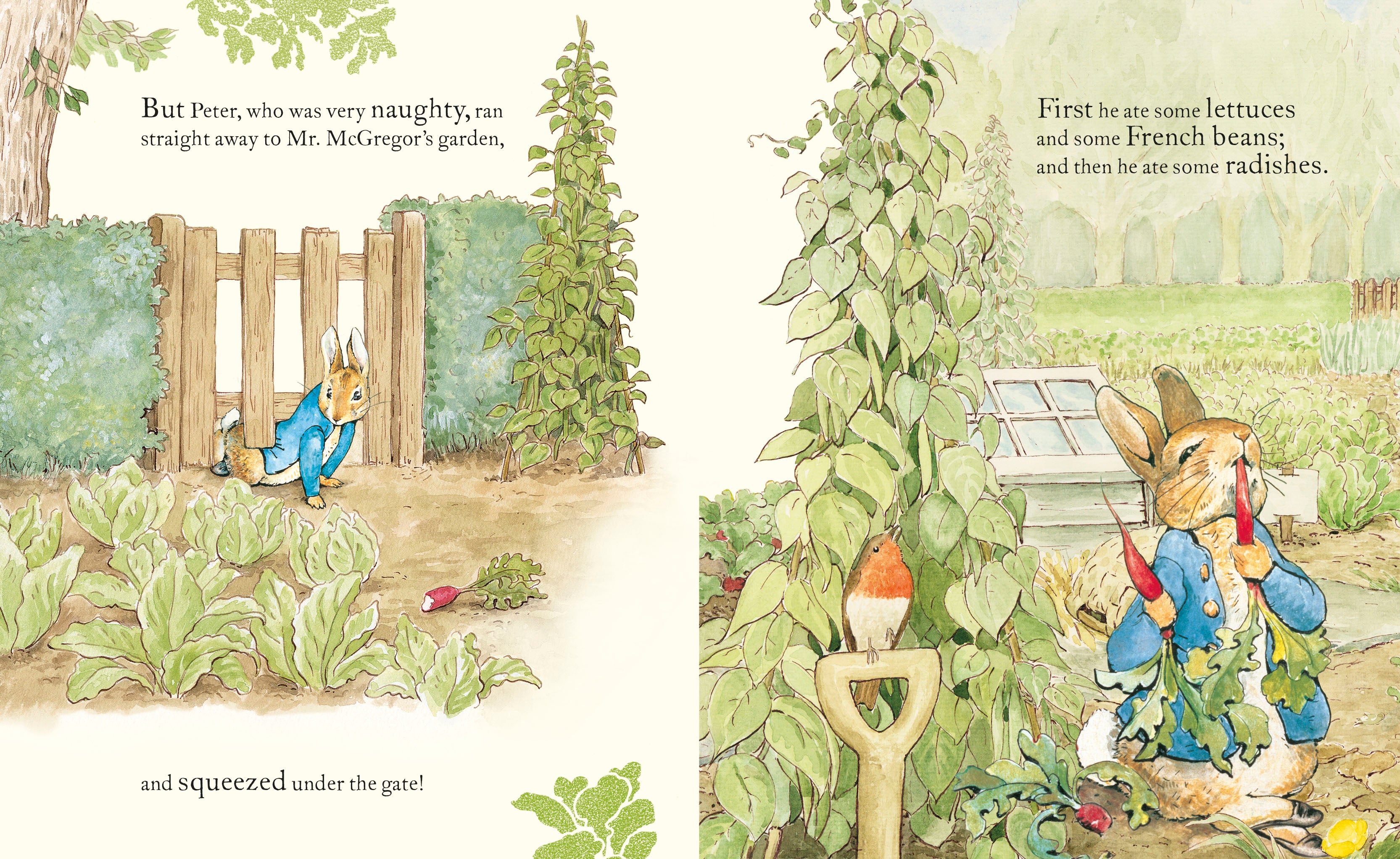 The Tale of Peter Rabbit Picture Book | Kids Book - Lifestory