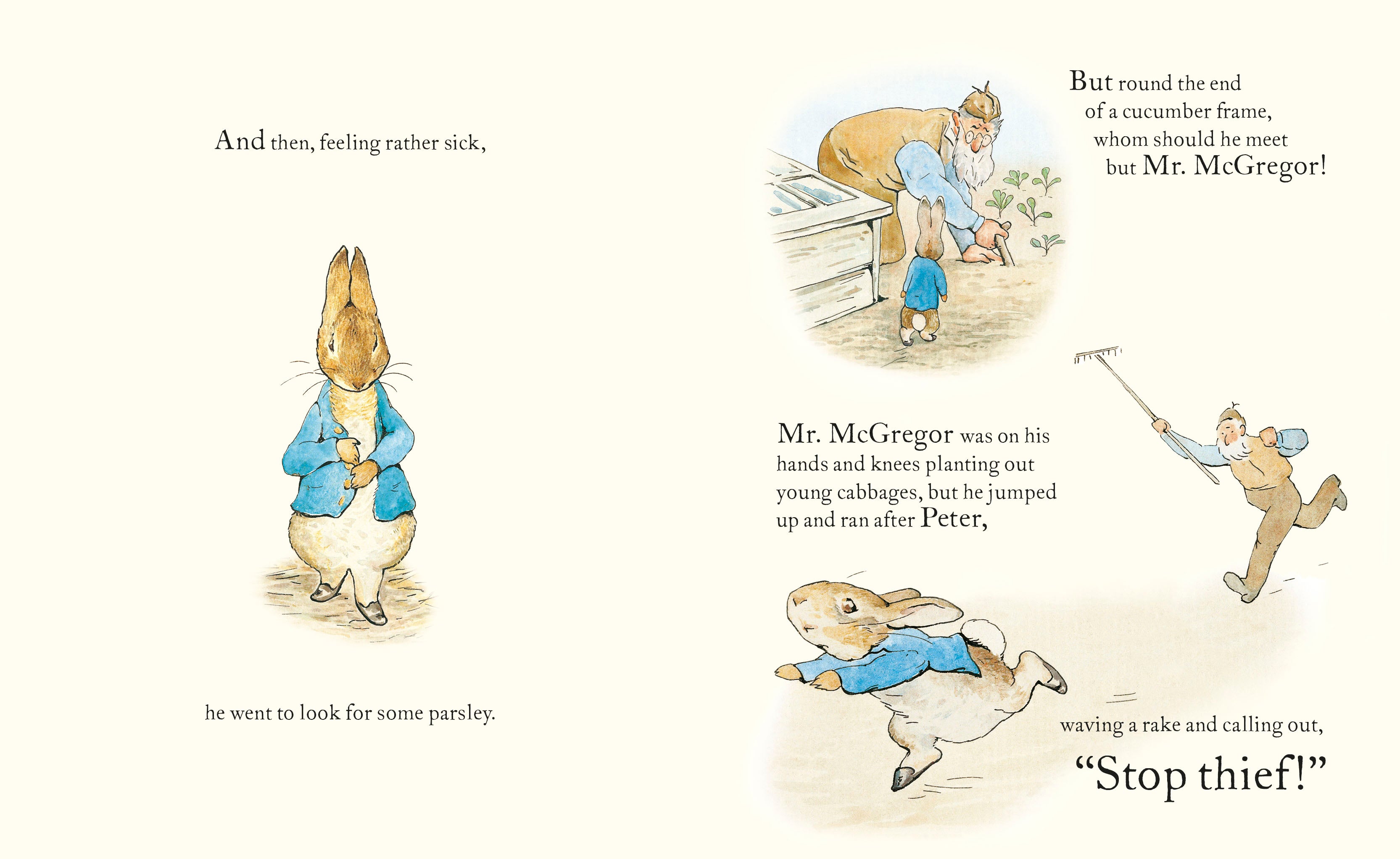 The Tale of Peter Rabbit Picture Book | Kids Book - Lifestory