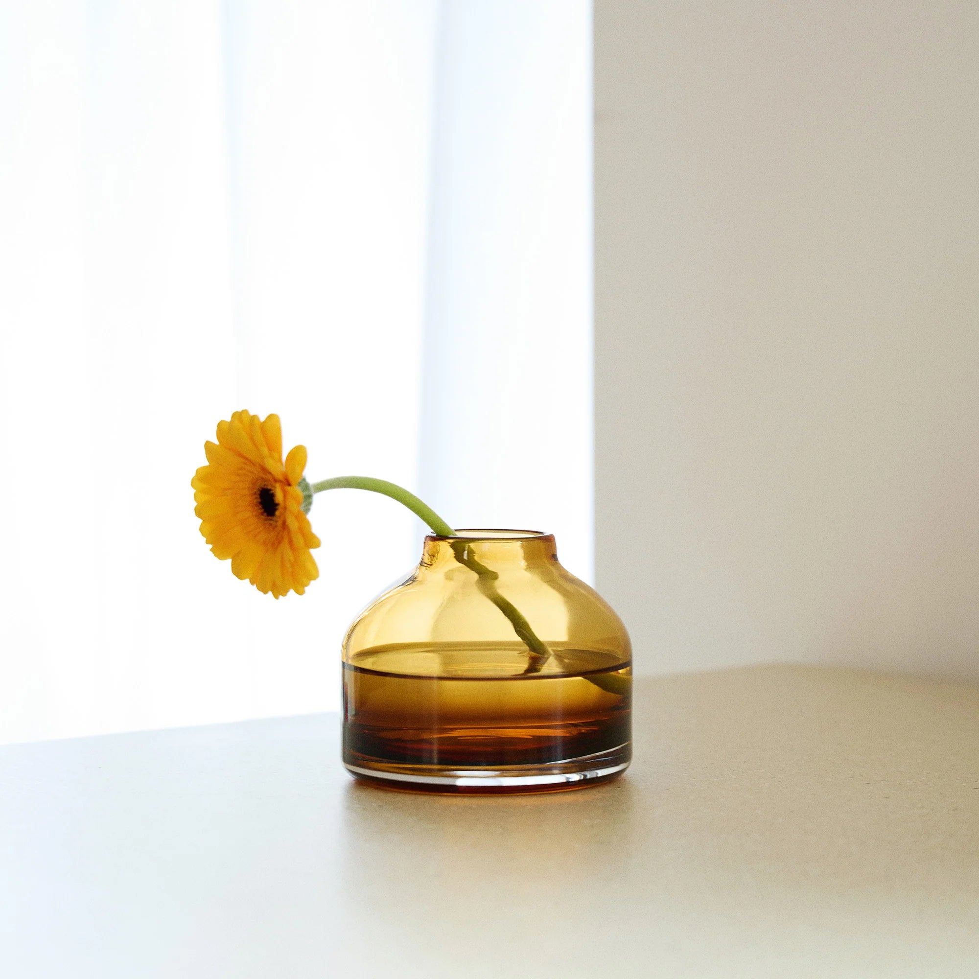 Amber Pod Small Glass Vase by The Conran Shop - Lifestory