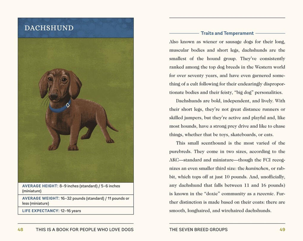This Is A Book For People Who Love Dogs | Book - Lifestory