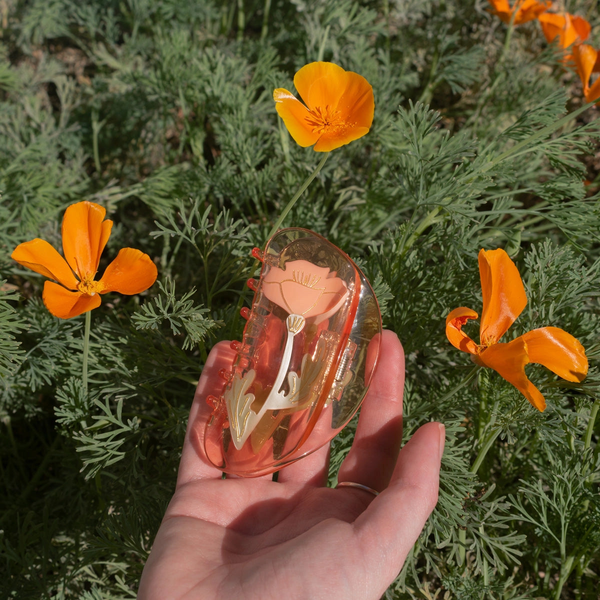 Winona Irene California Poppy Wildflower Acetate Hair Claw being held up on front of the real poppy flowers and foliage