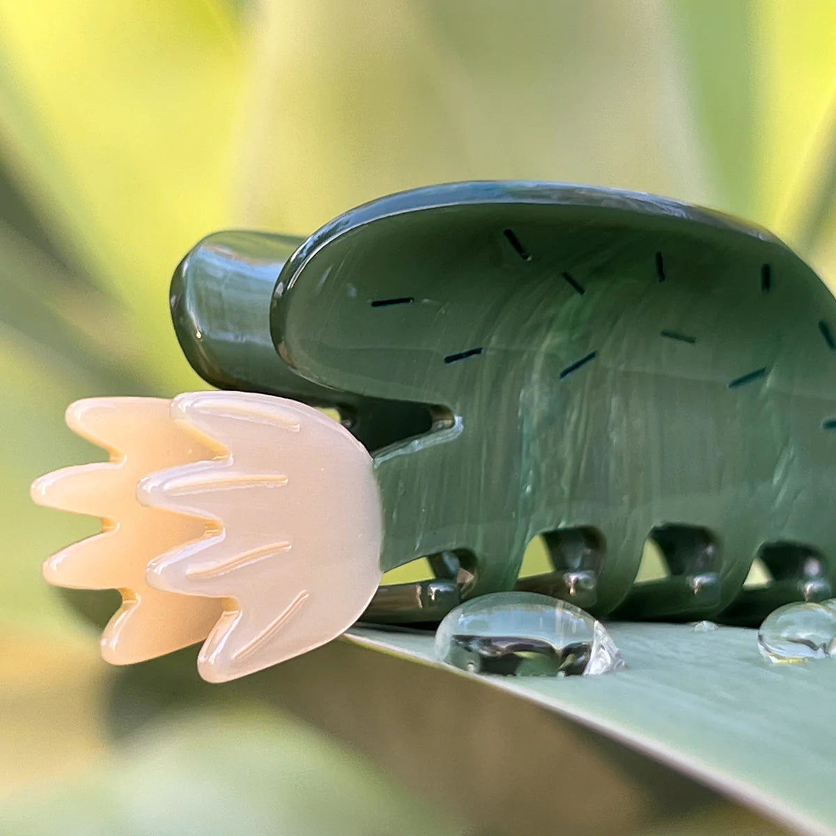 Winona Irene Desert Bloom Succulent Acetate Hair Claw - Lifestory