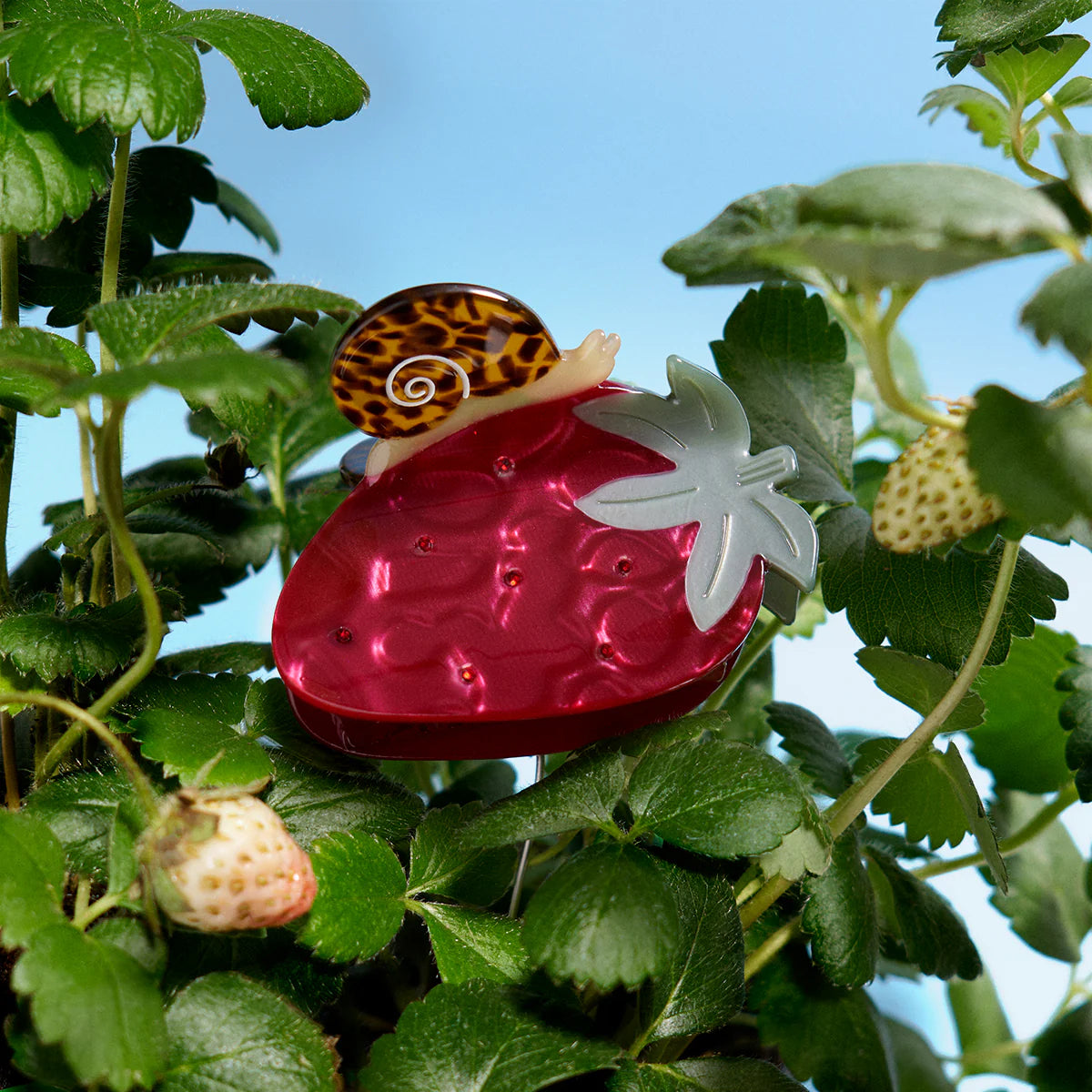 Winona Irene Strawberry Acetate Hair Claw - Lifestory