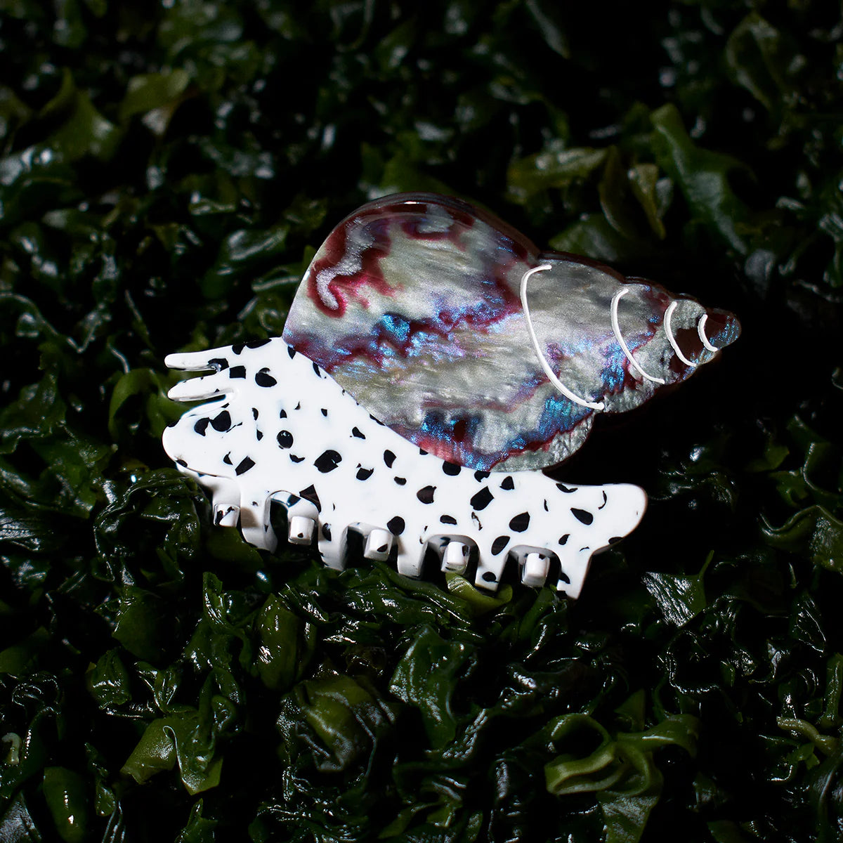 Winona Irene Spotted Whelk Sea Snail Acetate Hair Claw on a bed of seaweed