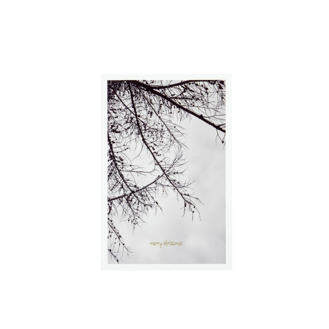 House Doctor 'Winter' Set of 6 Greetings Cards - branches card against a white background