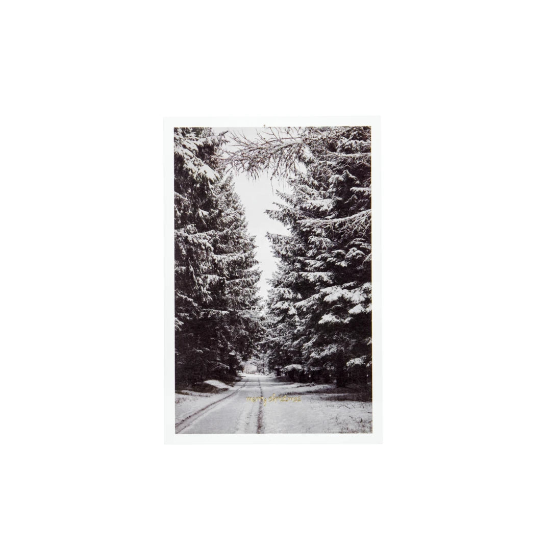 House Doctor 'Winter' Set of 6 Greetings Cards design featuring a snowy forest road