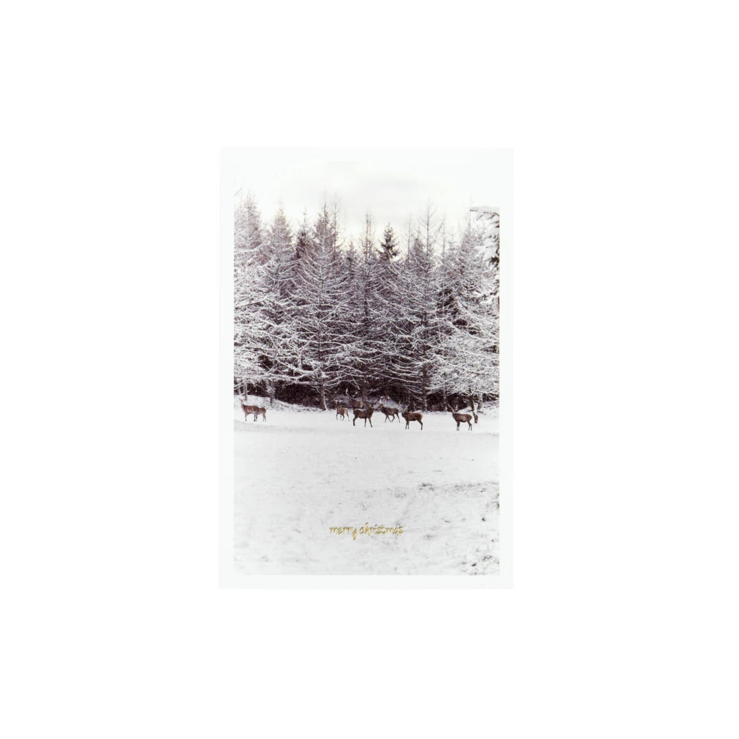 House Doctor 'Winter' Set of 6 Greetings Cards - Lifestory