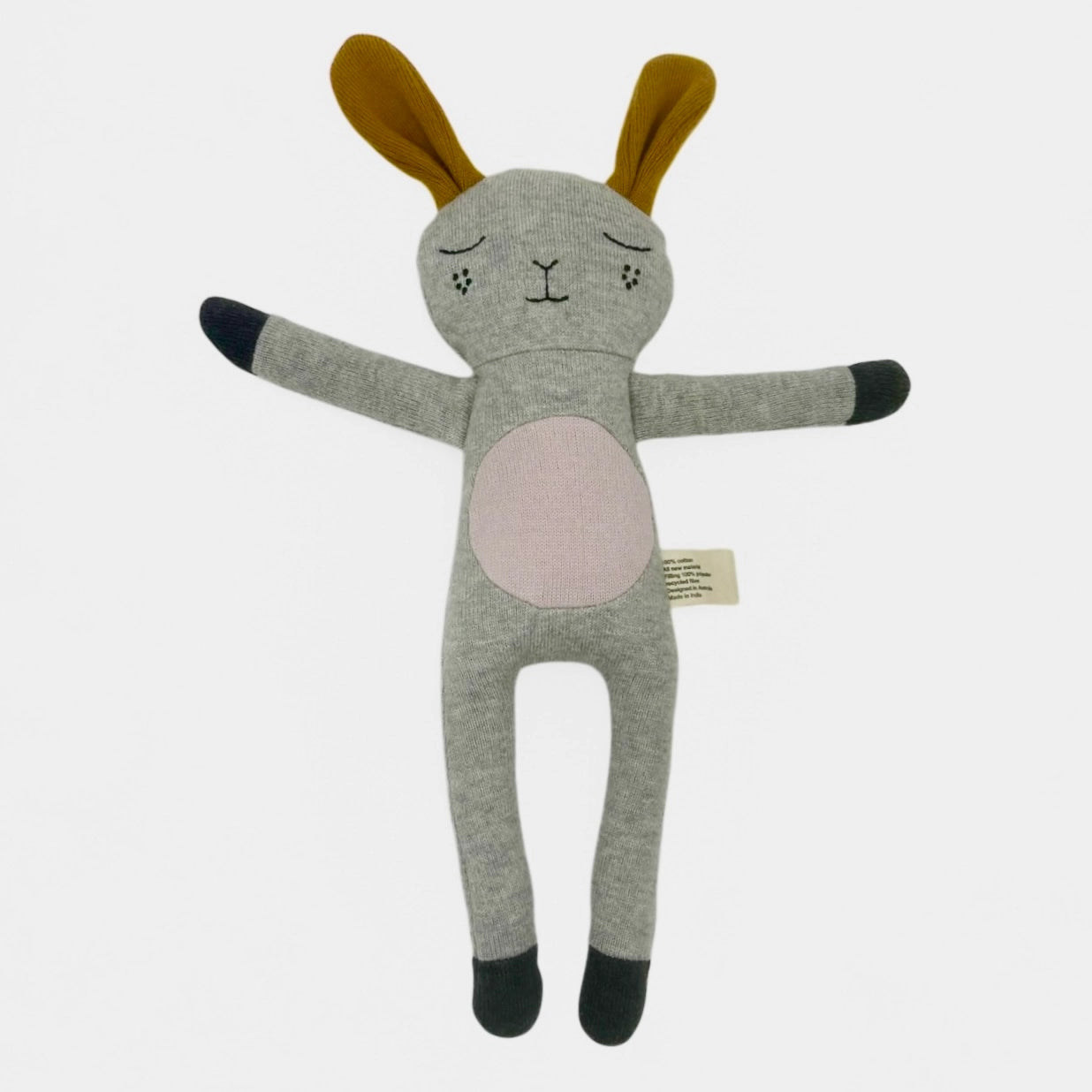 Maggie Rabbit by and the little dog laughed