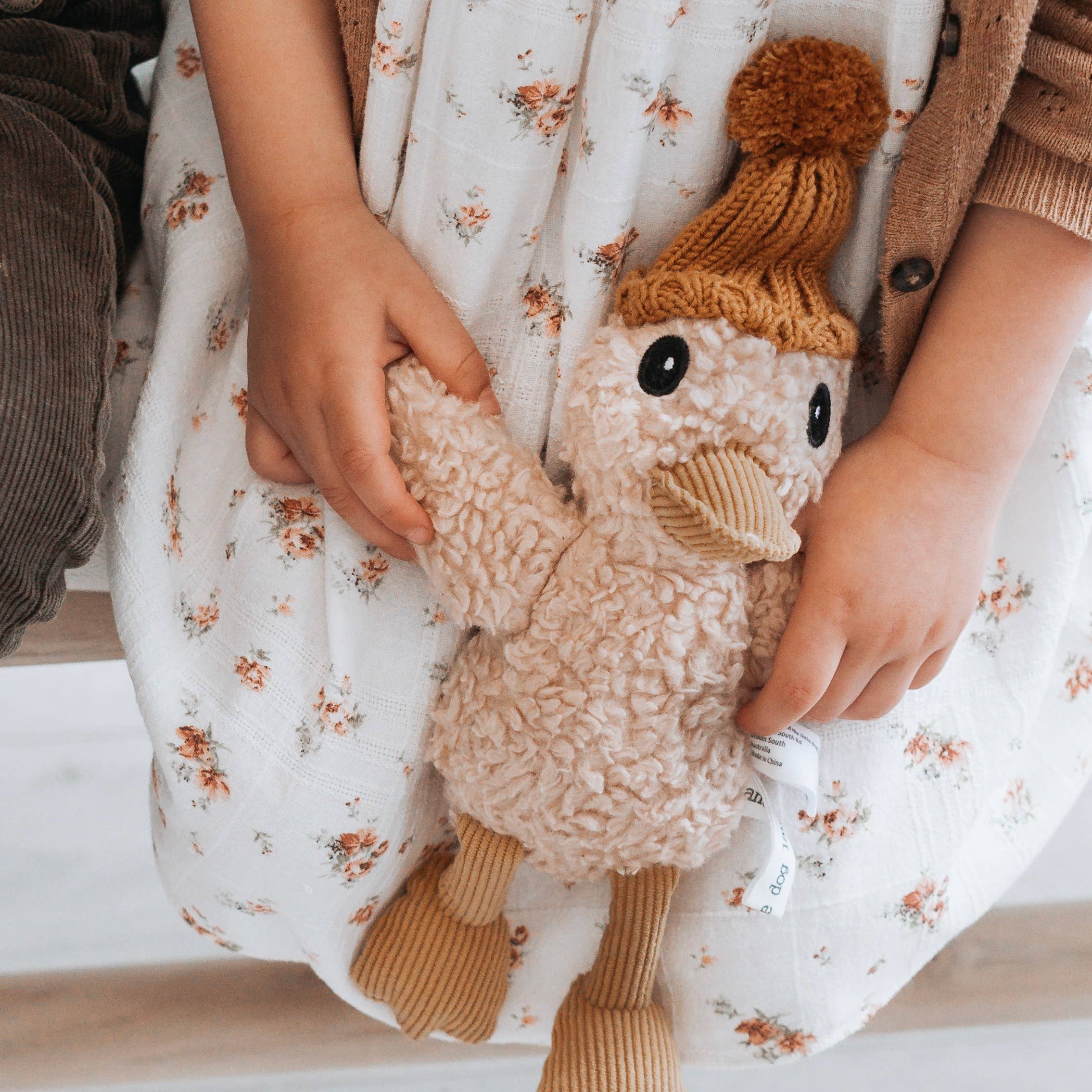 Petunia Duck by and the little dog laughed