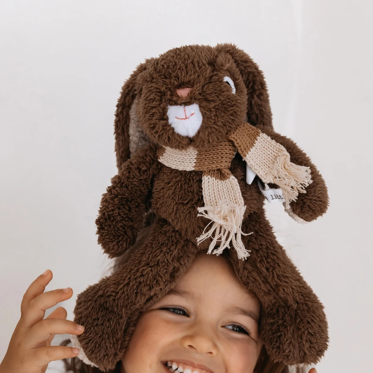 Frankie Rabbit (Medium) by and the little dog laughed | Lifestory