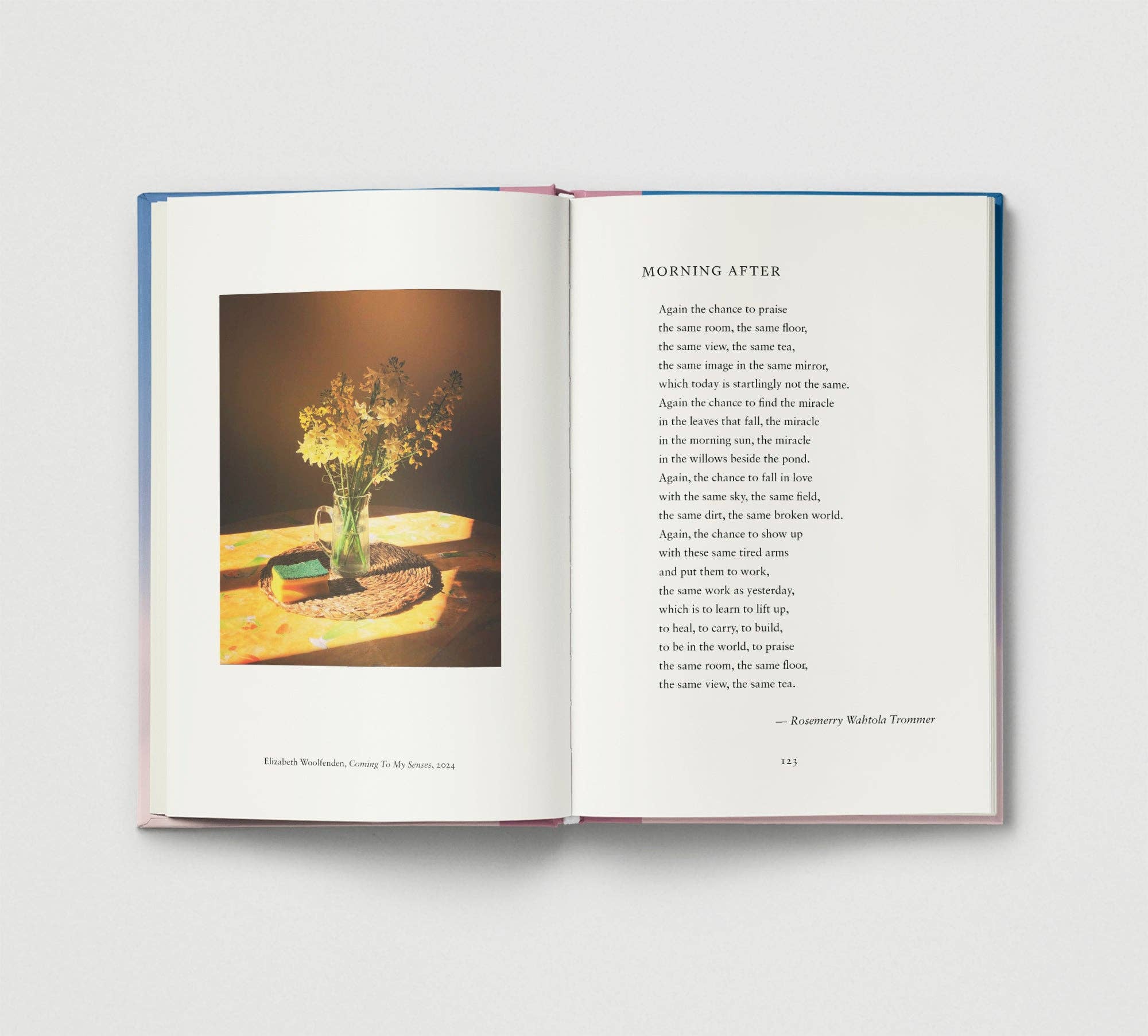 Everyday Wonder | Compilation Book
