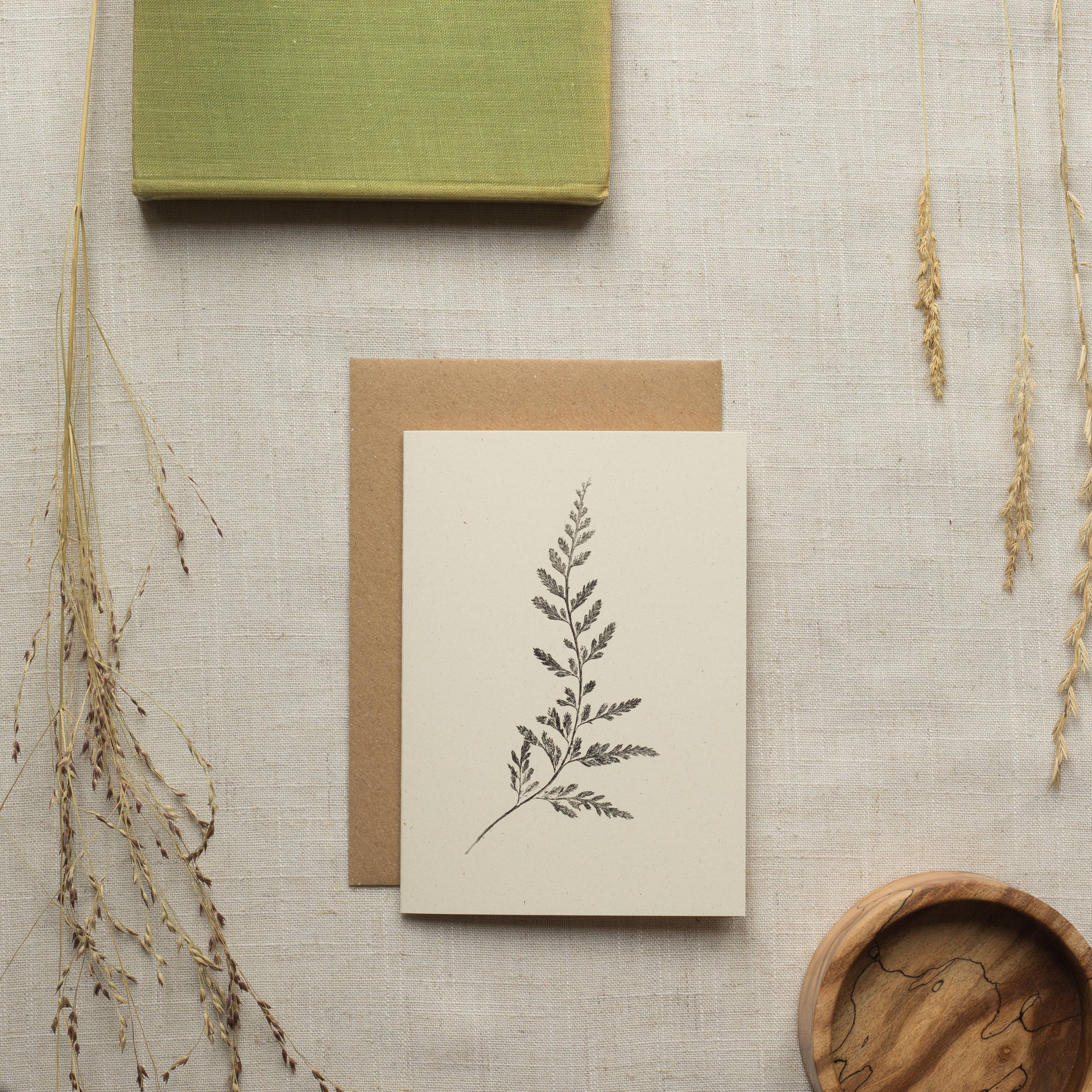 Spleenwort Fern Botanical Monoprint Card by Alicia Breakspear