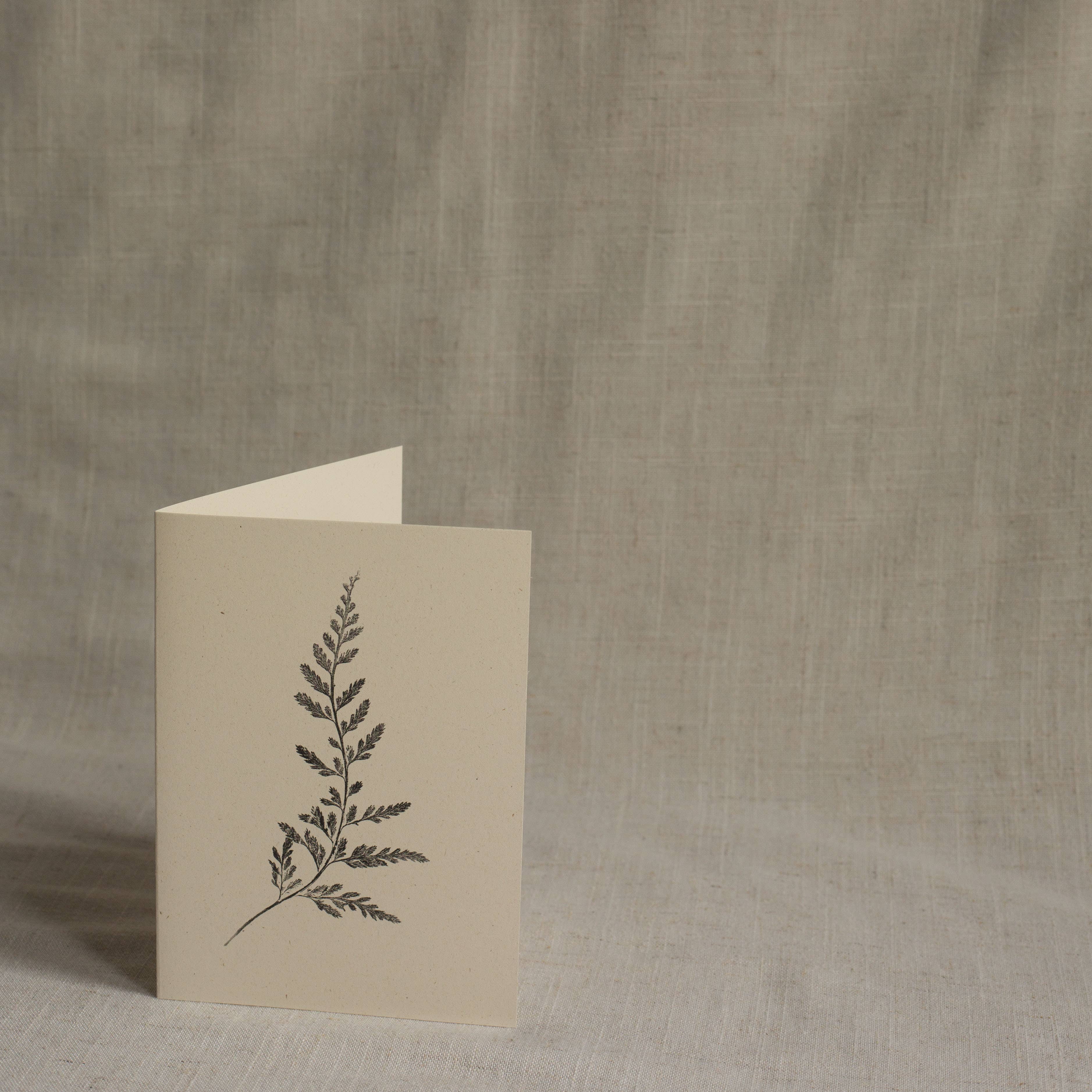 Spleenwort Fern Botanical Monoprint Card by Alicia Breakspear