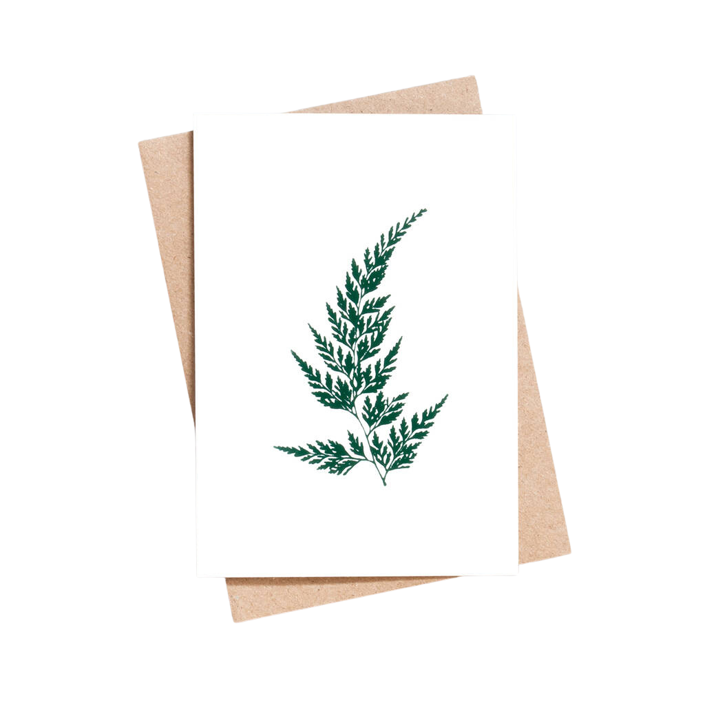 Wood Fern Card | Green on Ivory | Foil Blocked | by Ola - Lifestory