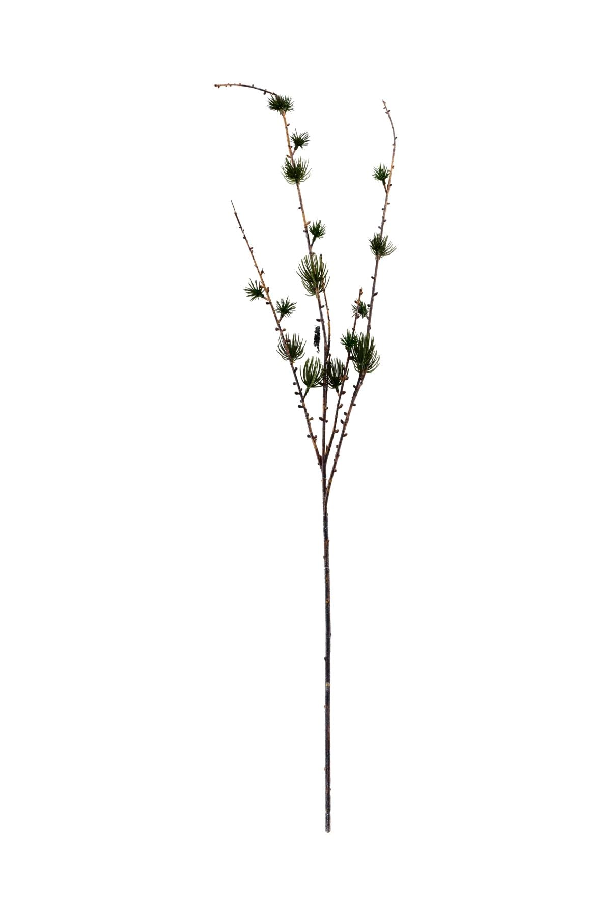 Branch | Larch | Nature | 97cm - Lifestory - House Doctor