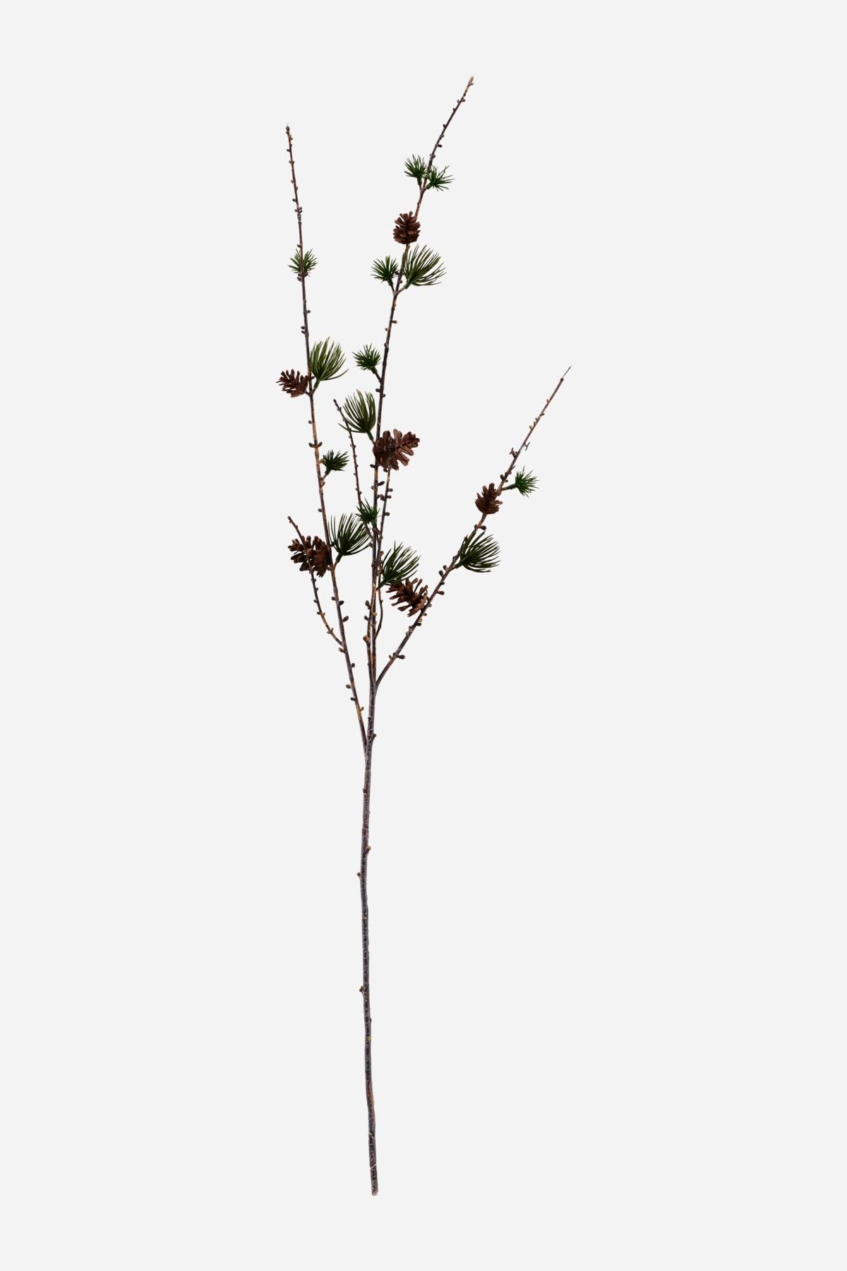 Branch, Larch with Cones | 97cm - Lifestory - House Doctor