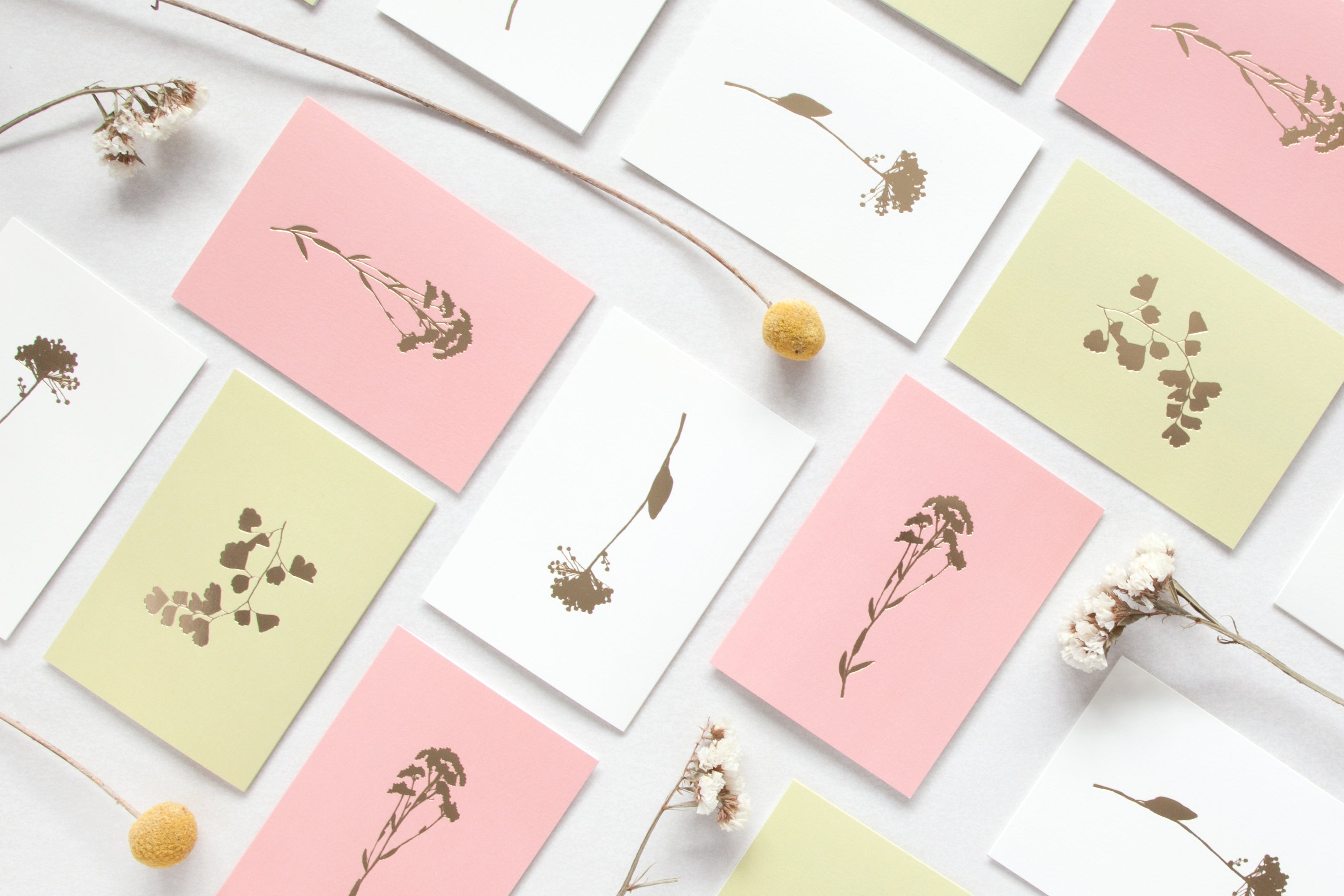 Allium Card | Brass on Ivory | Foil Blocked | by Ola - Lifestory - ola