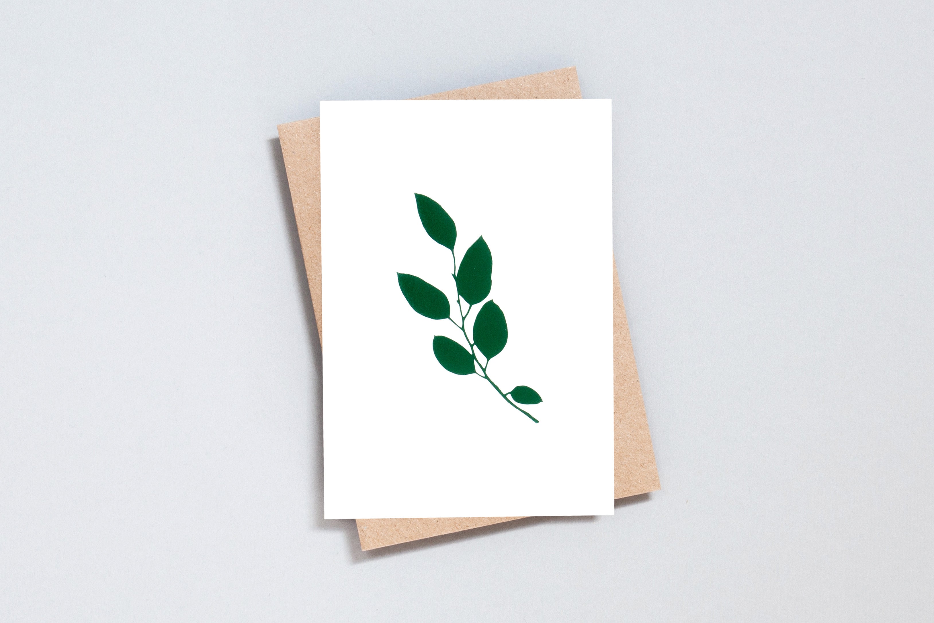 Eucalyptus Card | Green on Ivory | Foil Blocked | by Ola - Lifestory - ola