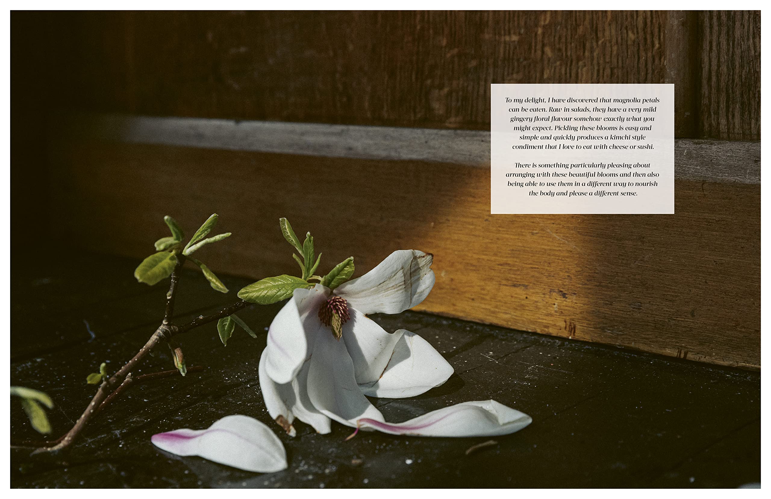 Flower Philosophy: Seasonal Projects | Book - Lifestory - Bookspeed