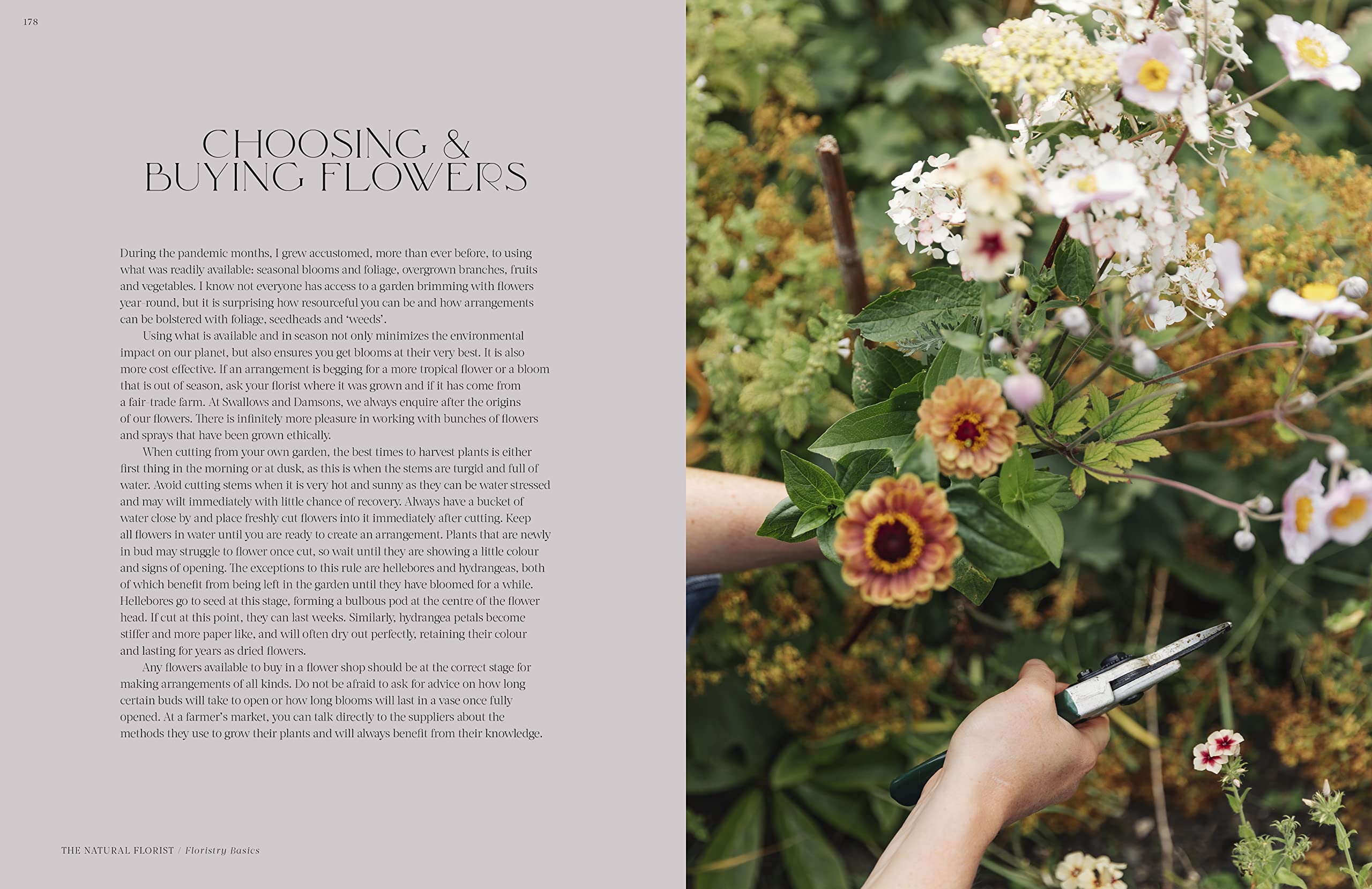 Flower Philosophy: Seasonal Projects | Book - Lifestory - Bookspeed