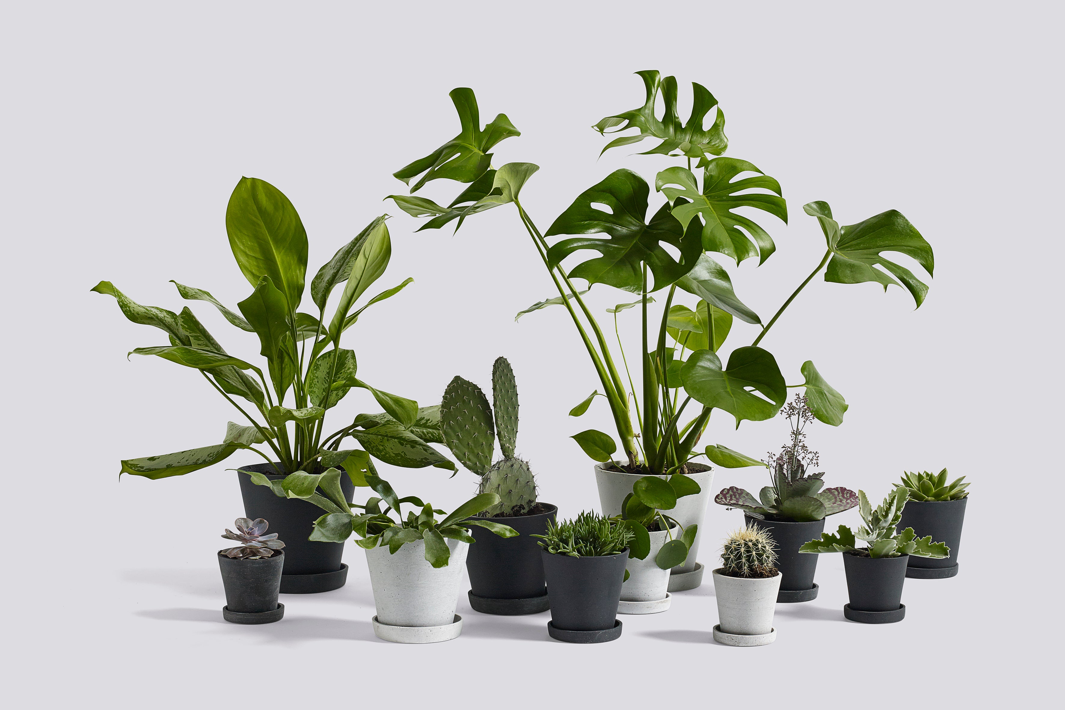 Flowerpot with saucer | XX Large | Grey concrete plant pot - Lifestory - HAY