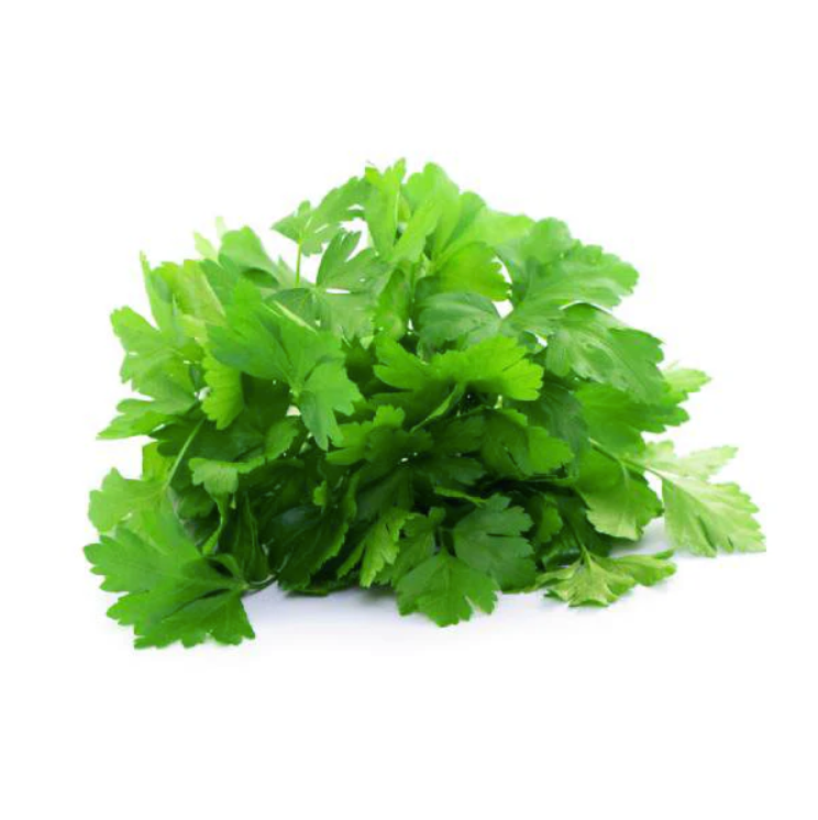 Parsley 'Gigante d'Italia' Seed Packet | 125 Seeds | by Piccolo - Lifestory - Piccolo