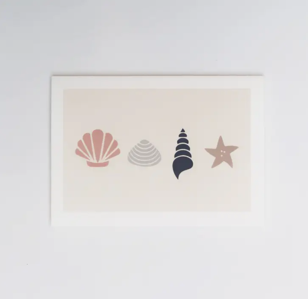 Shells Card | Blank Inside | by Elly Vvaller - Lifestory - Elly Vvaller