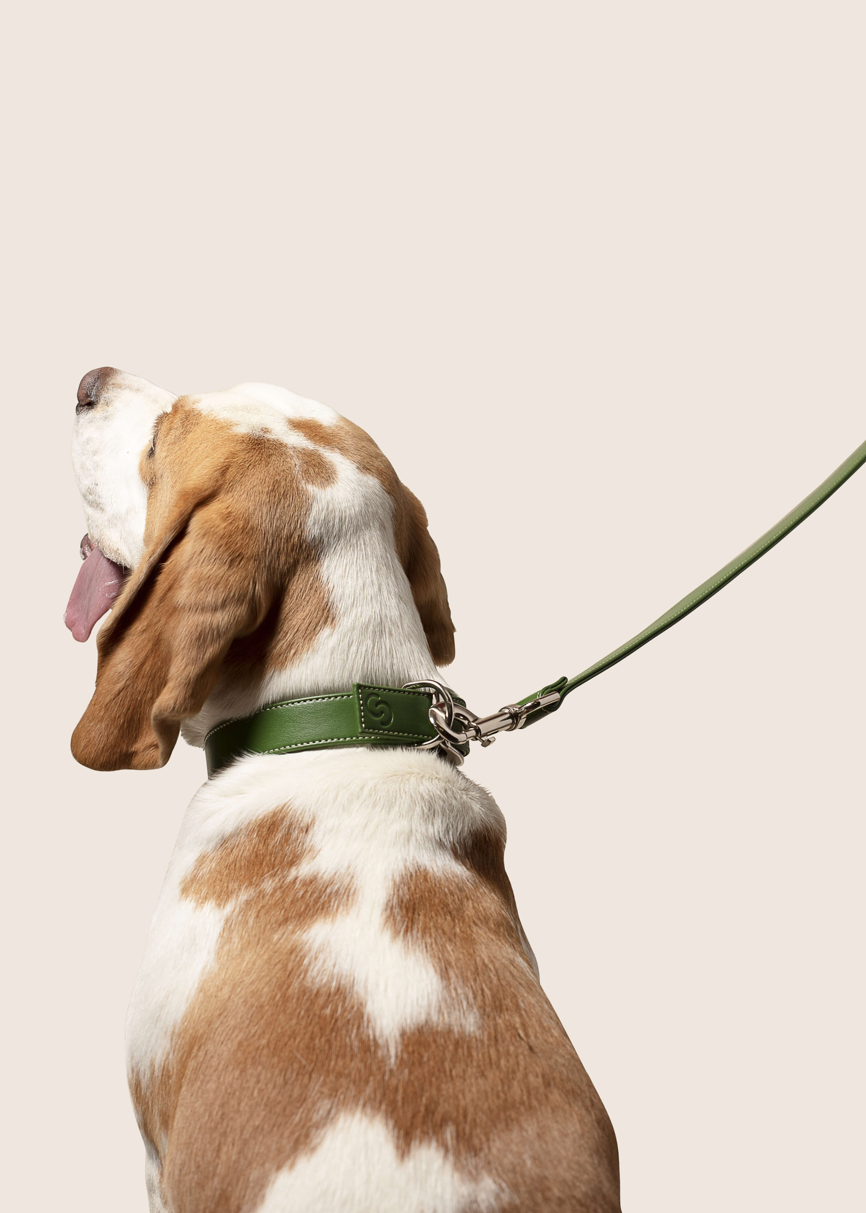 Long Dog Lead - Vegan Apple Leather | Green | by Skylos Collective - Lifestory - Skylos Collective