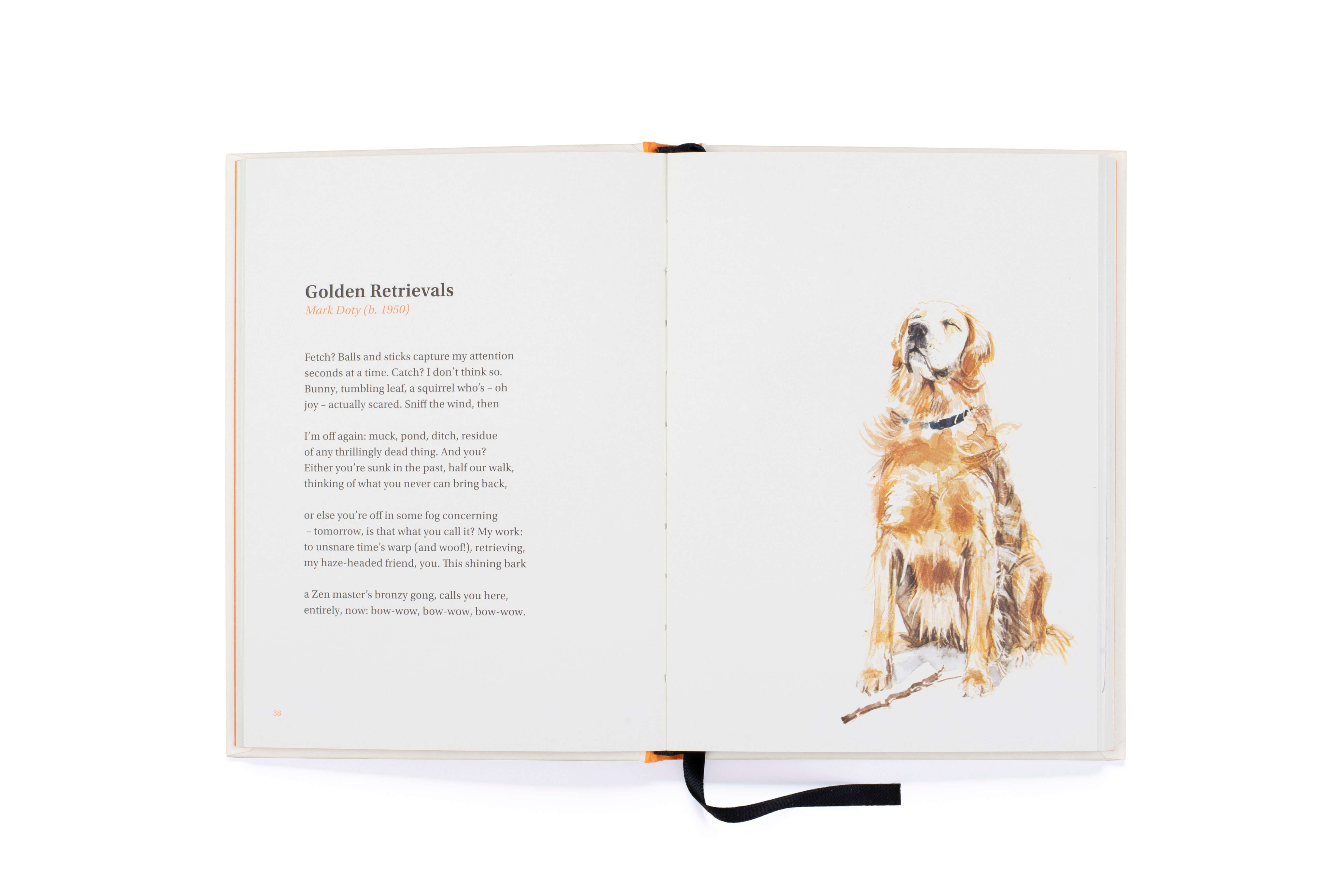 Book of Dog Poems | by Ana Sampson - Lifestory - Bookspeed