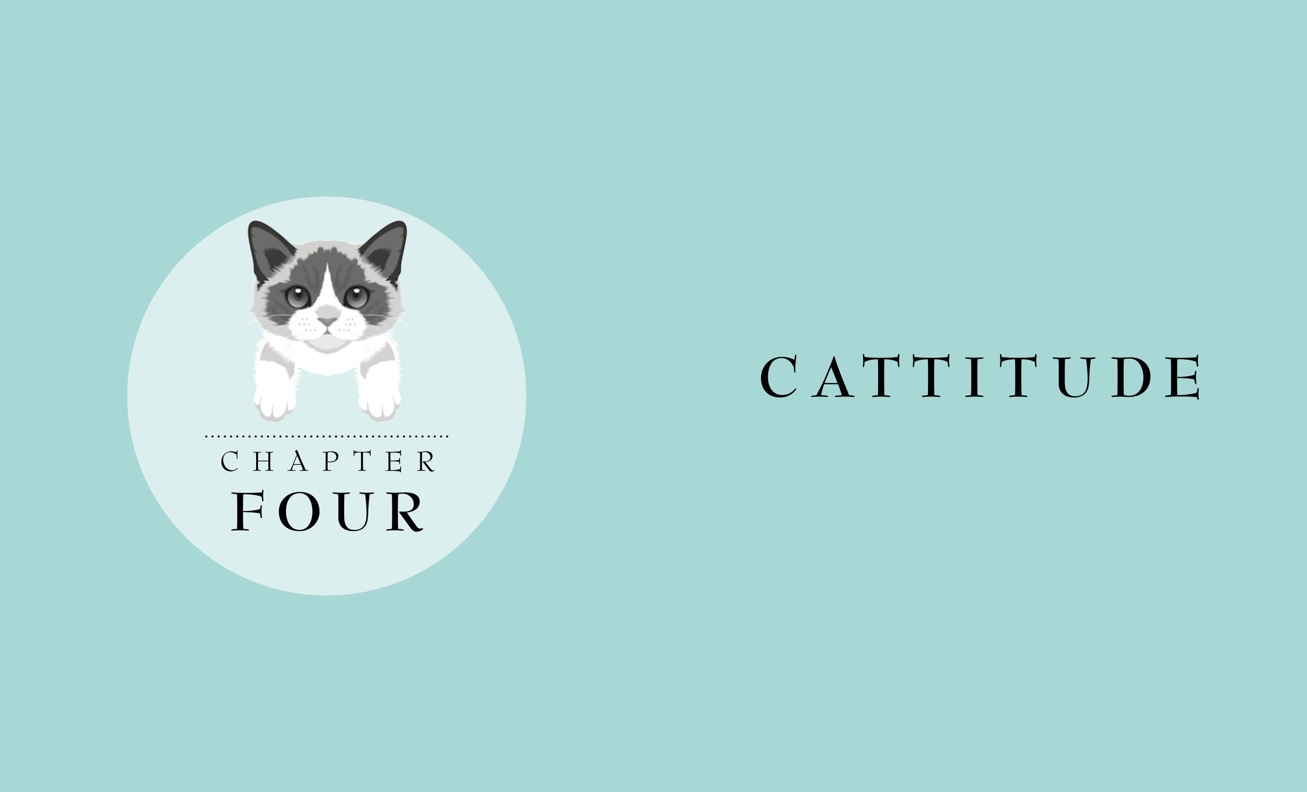The Little Book of Cats | Book - Lifestory - Bookspeed