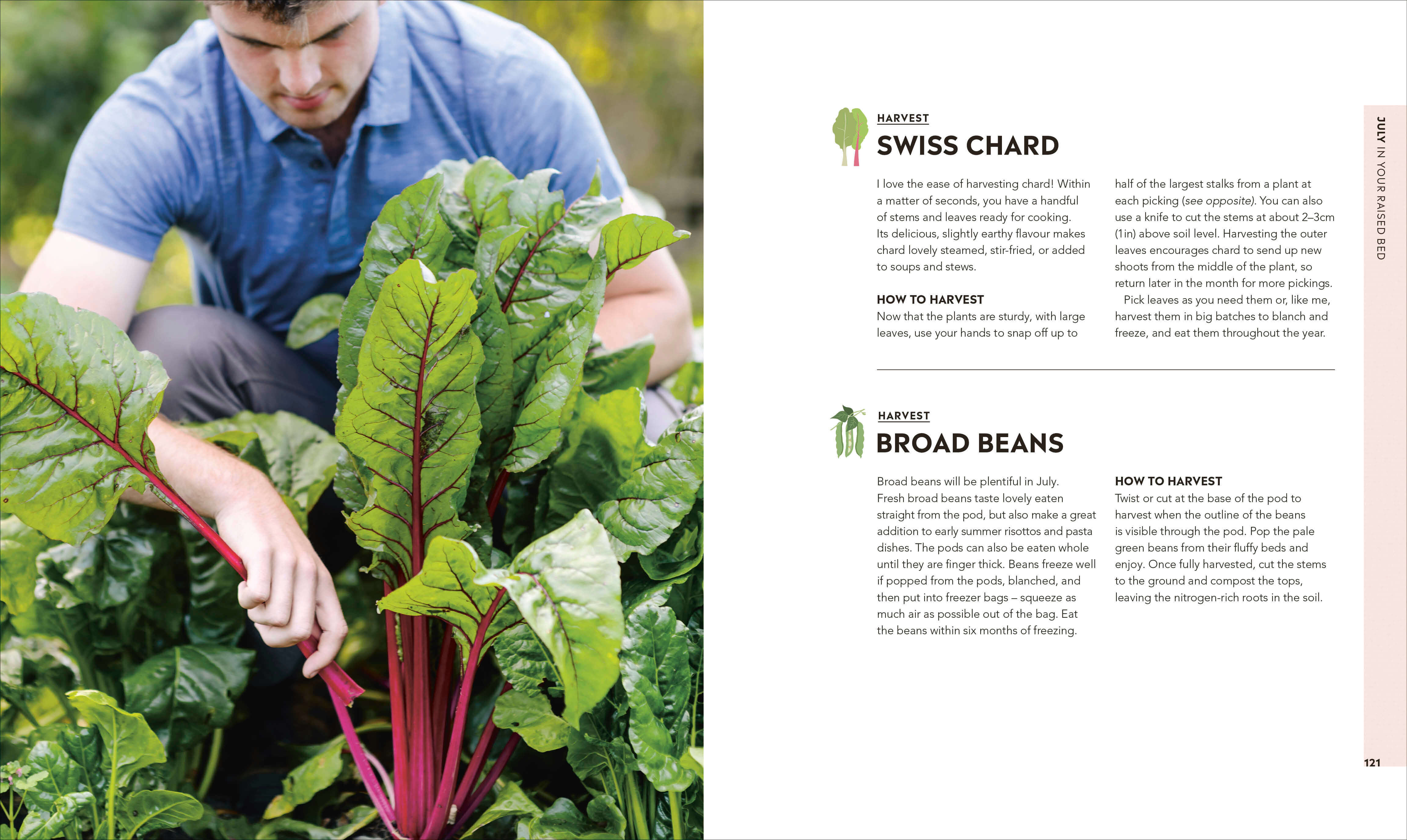 Veg In One Bed | Gardening Book | by Huw Richards - Lifestory - Bookspeed