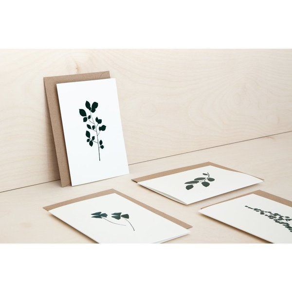 Eucalyptus Card | Green on Ivory | Foil Blocked | by Ola - Lifestory - ola