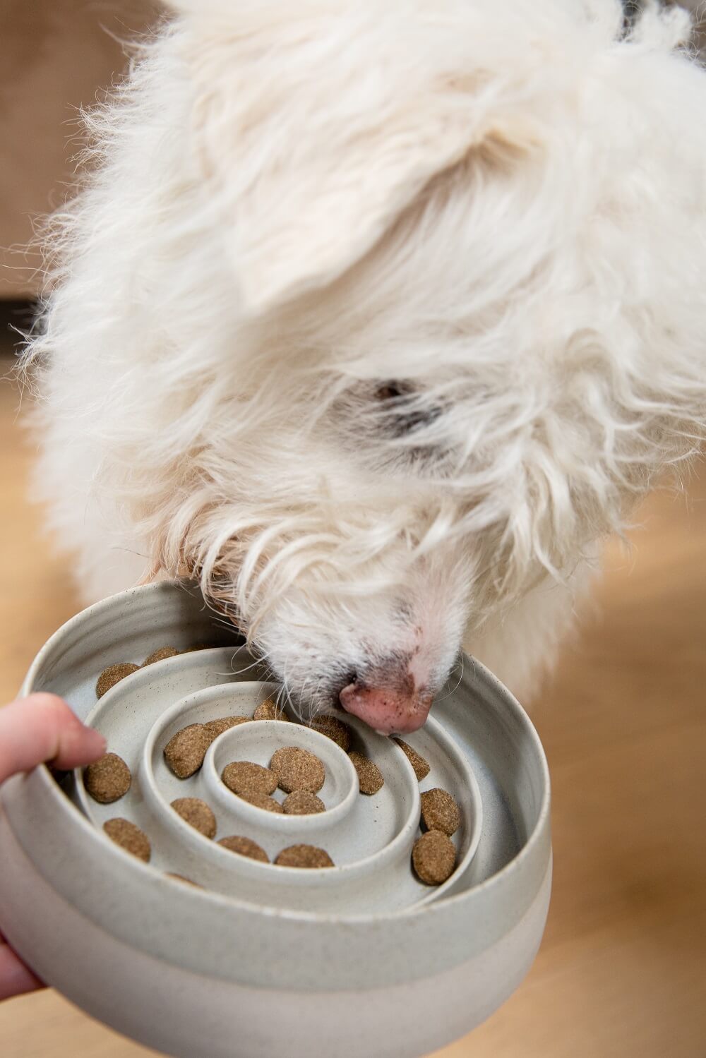 Ceramic Slow Feeder Dog Bowl | Medium | White | by Pawness - Lifestory - Pawness