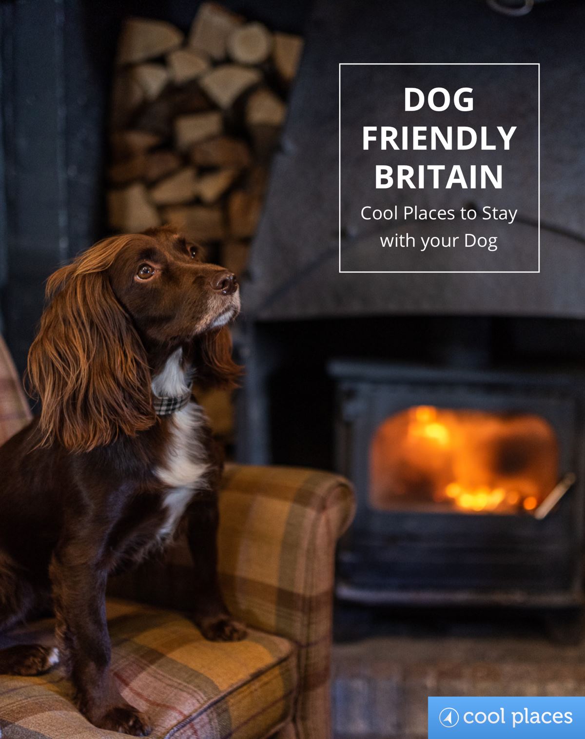 Dog Friendly Britain | Book | by Martin Dunford - Lifestory - Bookspeed