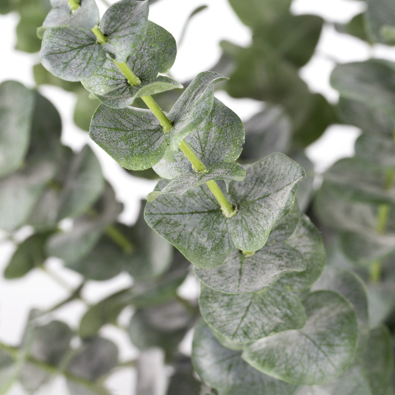 One eucalyptus branch stem - faux flower - Lifestory