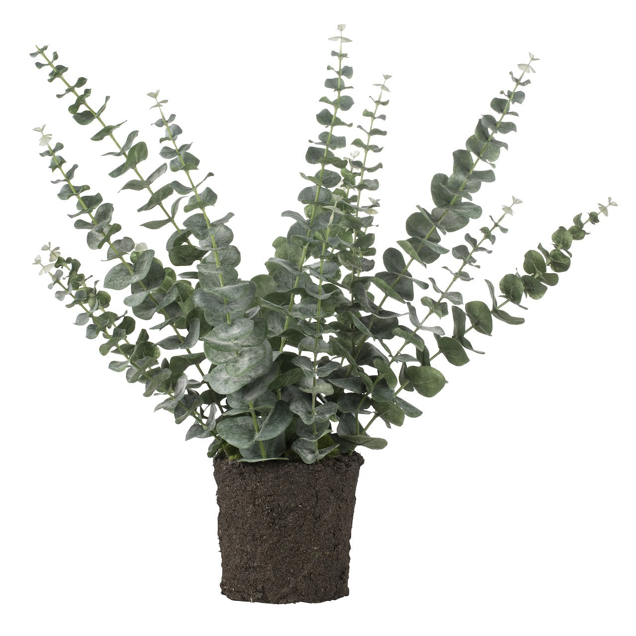One eucalyptus branch stem - faux flower - Lifestory