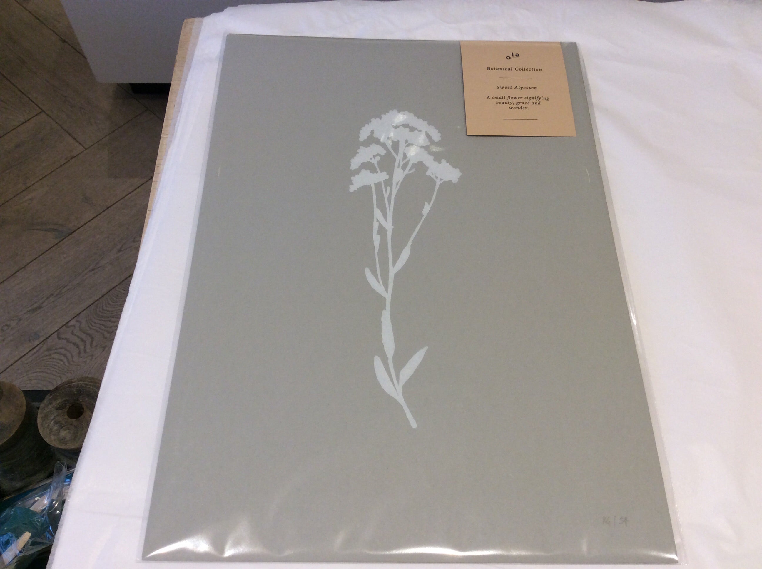 Ola Sweet Alyssum Print - Botanical Collection - Grey by ola - Lifestory - ola