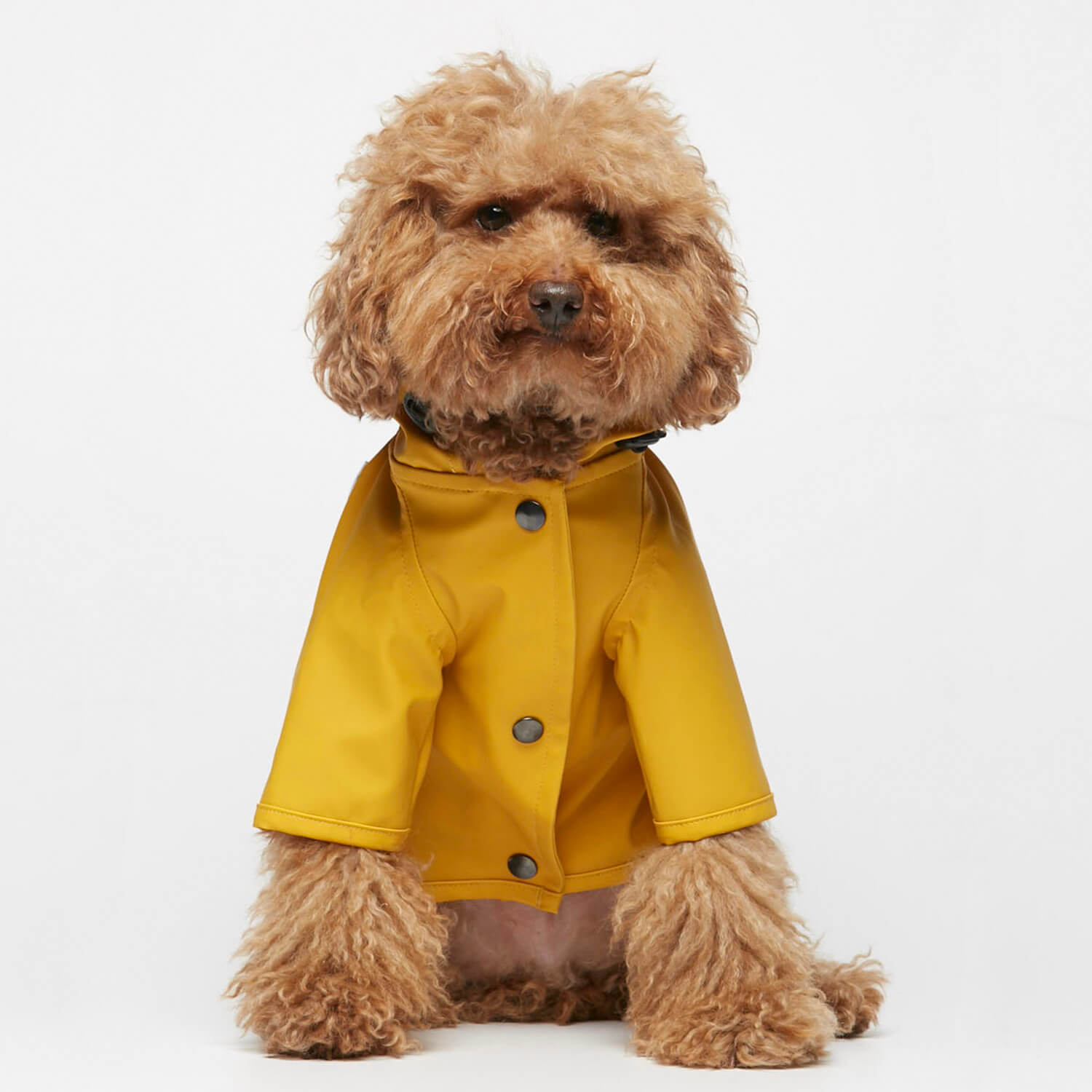 Sarah Raincoat | Green Paw Sustainable | Yellow | From £64 - Lifestory - The Painter's Wife