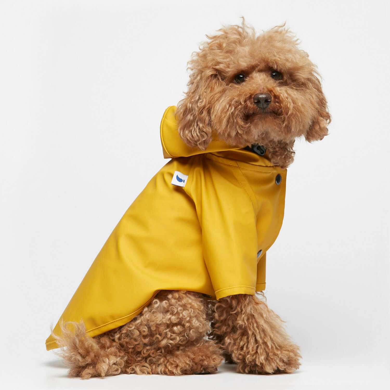 Sarah Raincoat | Green Paw Sustainable | Yellow | From £64 - Lifestory - The Painter's Wife
