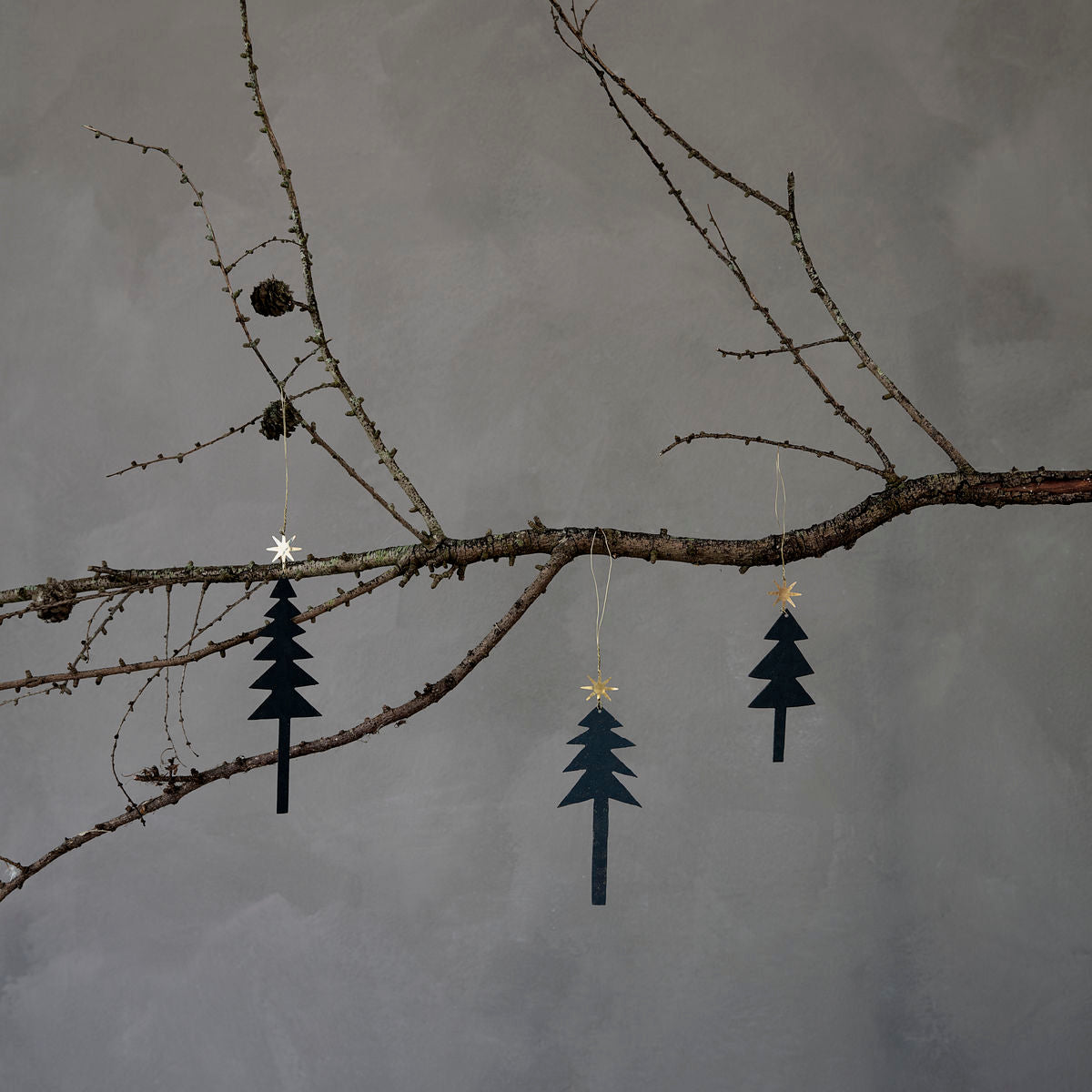 Black Tree Ornament with Gold Star | Set of 3 - Lifestory