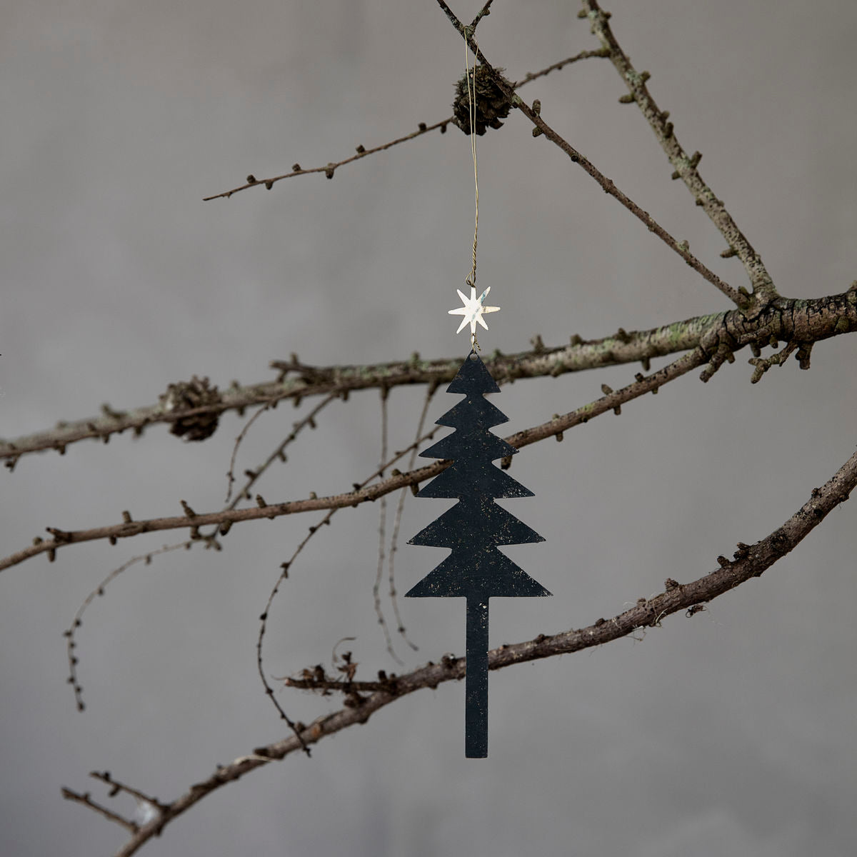 Black Tree Ornament with Gold Star | Set of 3 - Lifestory
